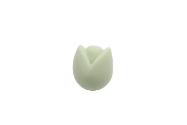 Tulipe