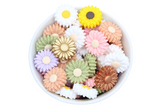 Marguerite moyenne (22mm) - Perle en silicone