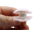 Coquillage (2) 3D - Perle en silicone