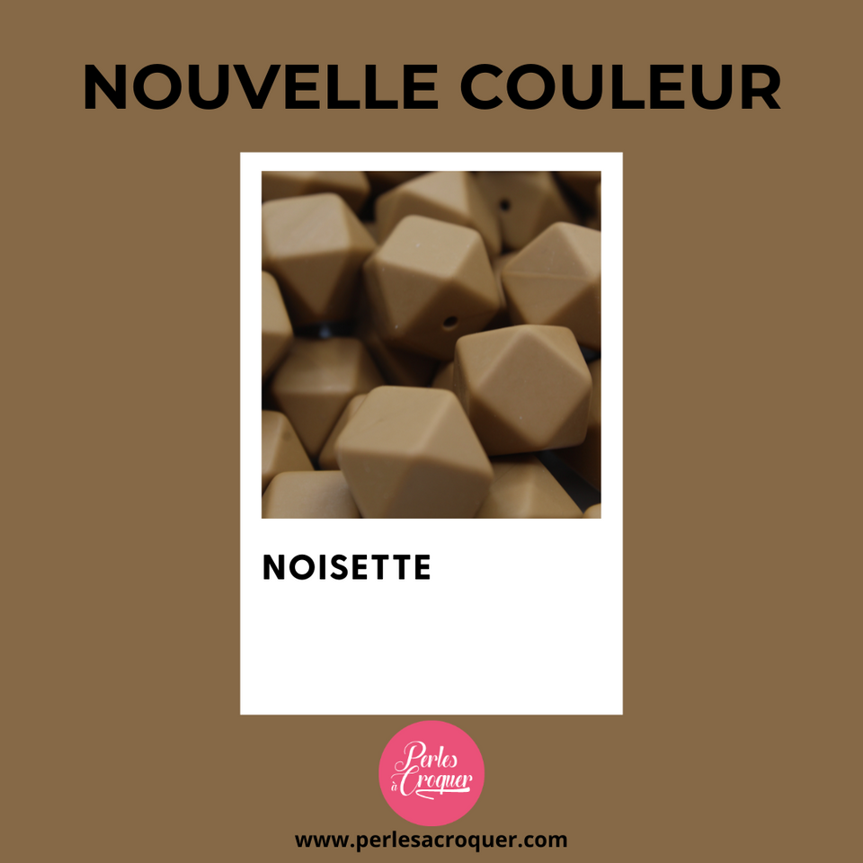 Nouvelle couleur: NOISETTE